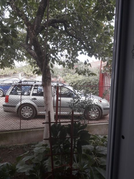  - 2022 flori si Italia