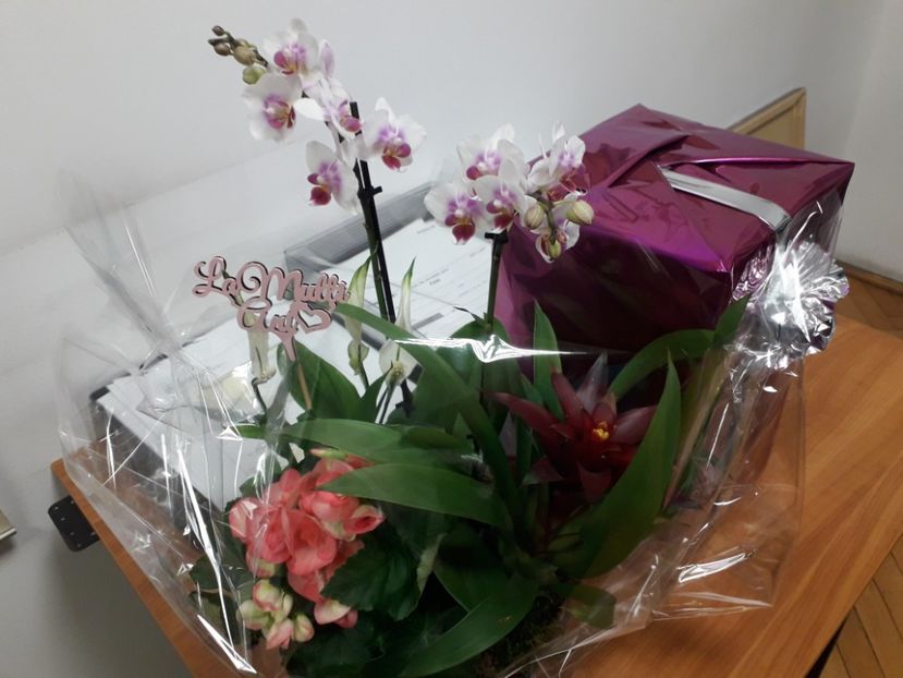  - 2022 flori si Italia