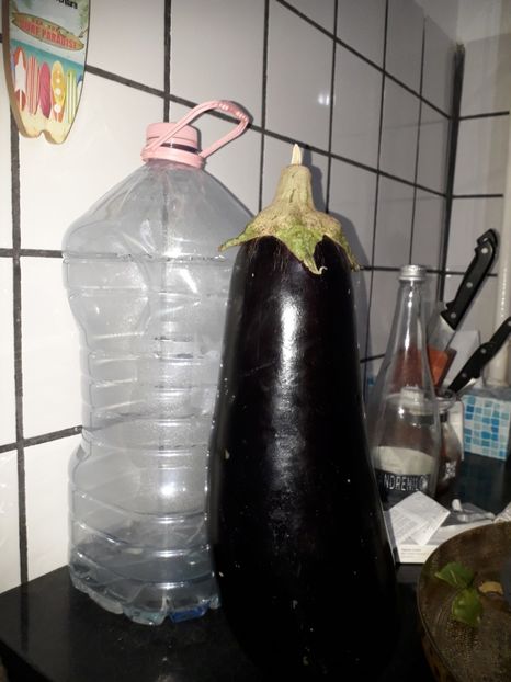  - 2022 flori si Italia