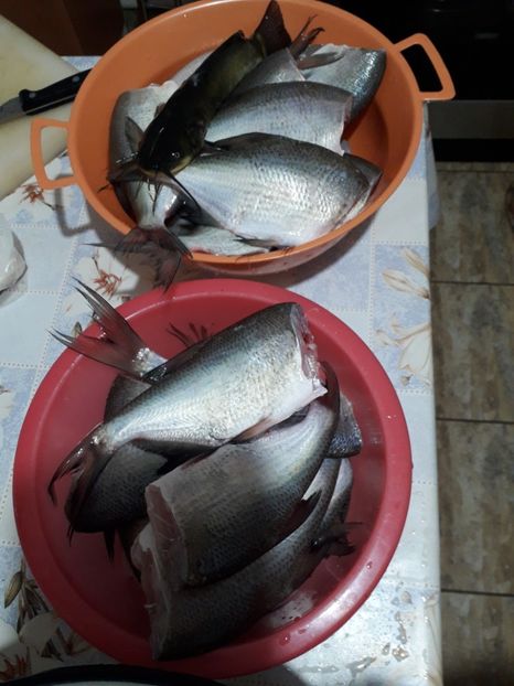  - 2022 flori si Italia