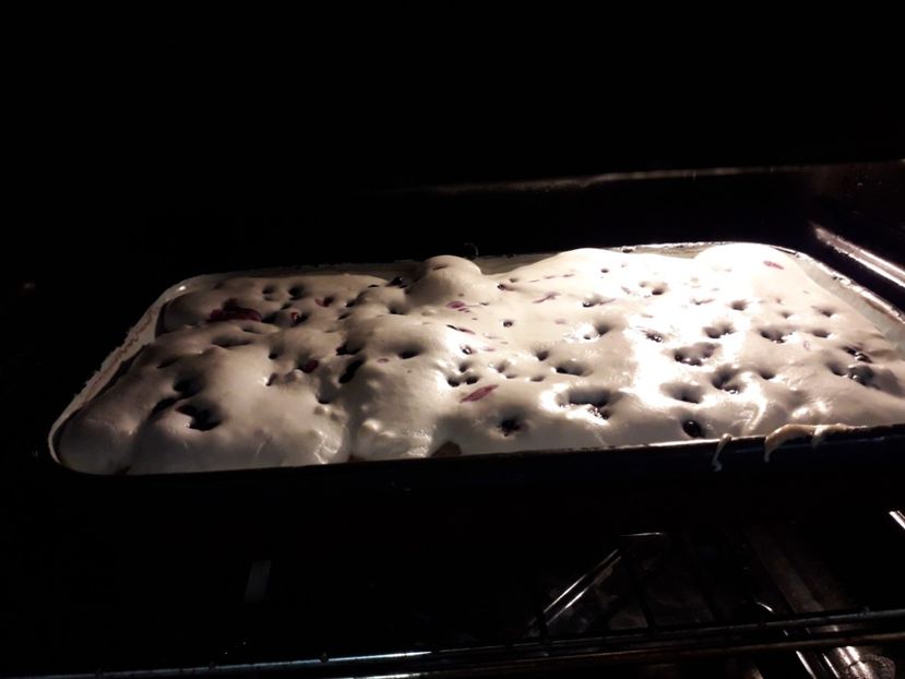  - 2022 flori si Italia