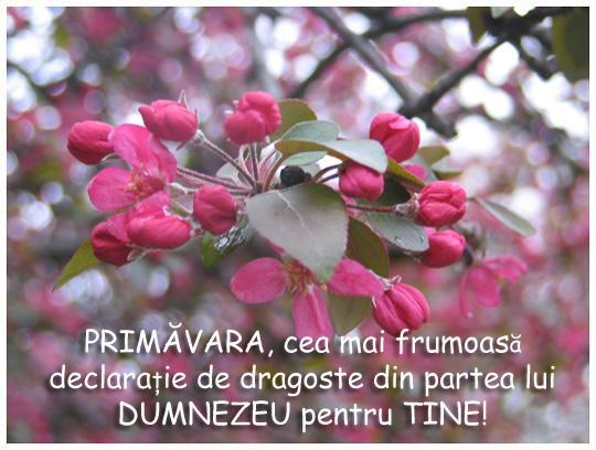primavara