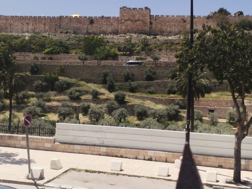 Vedere spre Cetate din Gradina Ghetsimani - Ierusalim