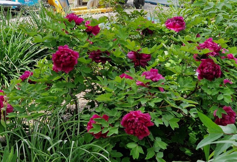  - 2023 Milano si Monza