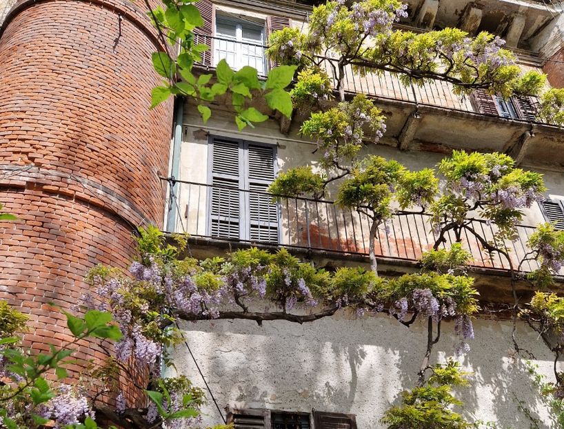  - 2023 Milano si Monza