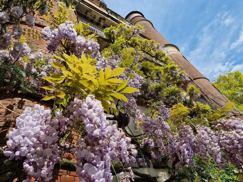  - 2023 Milano si Monza