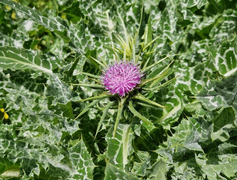  - 2023 Milano si Monza