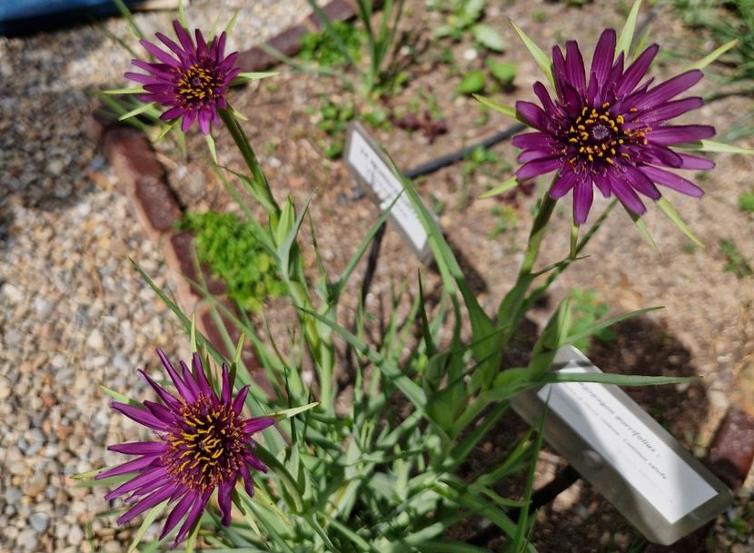  - 2023 Milano si Monza