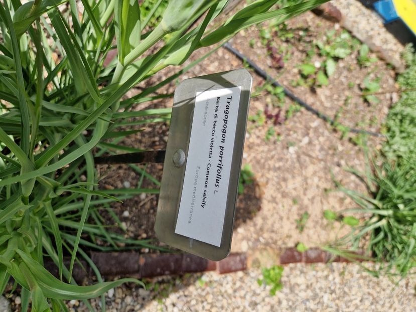  - 2023 Milano si Monza