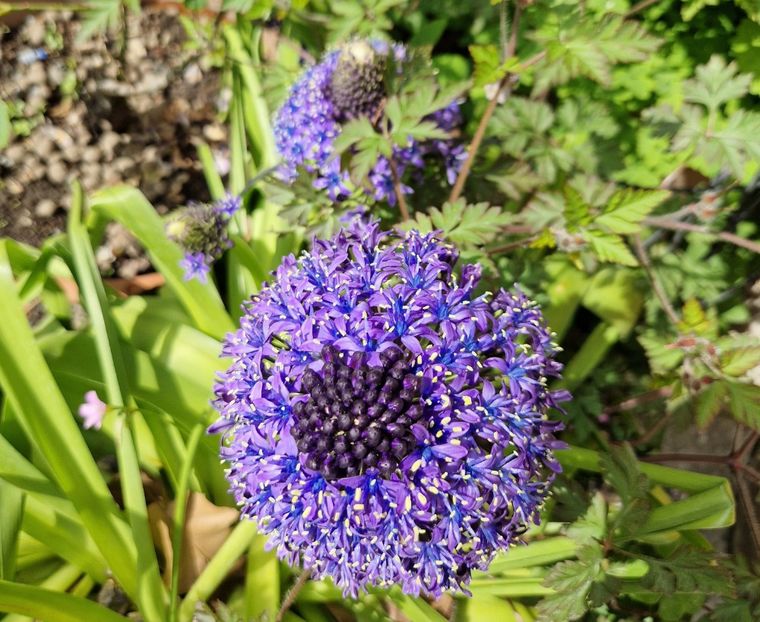  - 2023 Milano si Monza