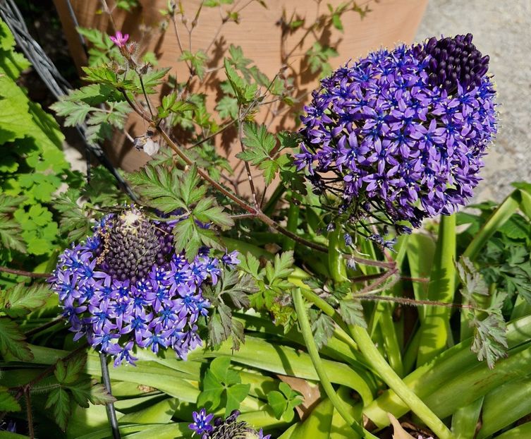  - 2023 Milano si Monza