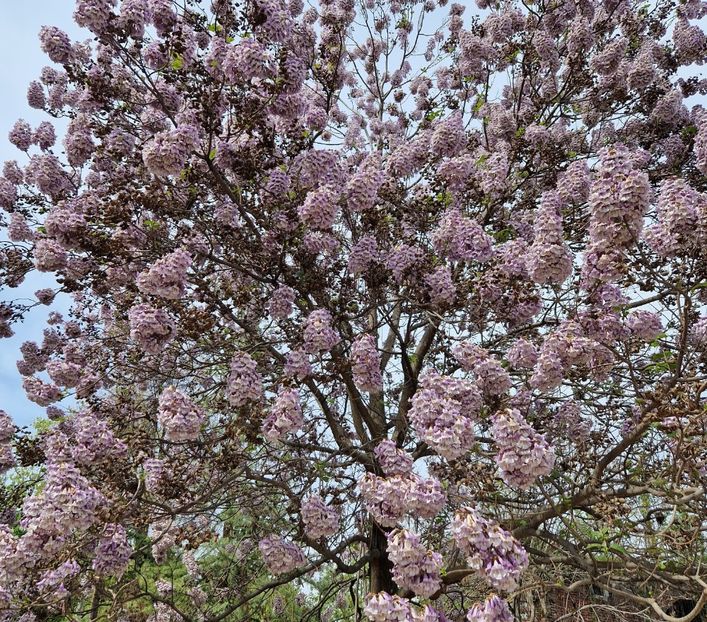  - 2023 Milano si Monza