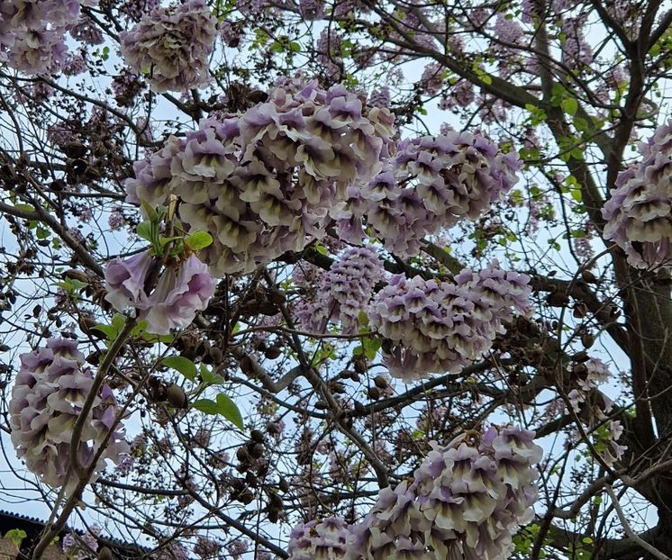  - 2023 Milano si Monza