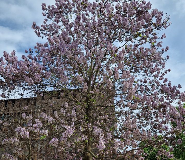  - 2023 Milano si Monza
