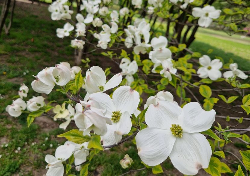  - 2023 Milano si Monza