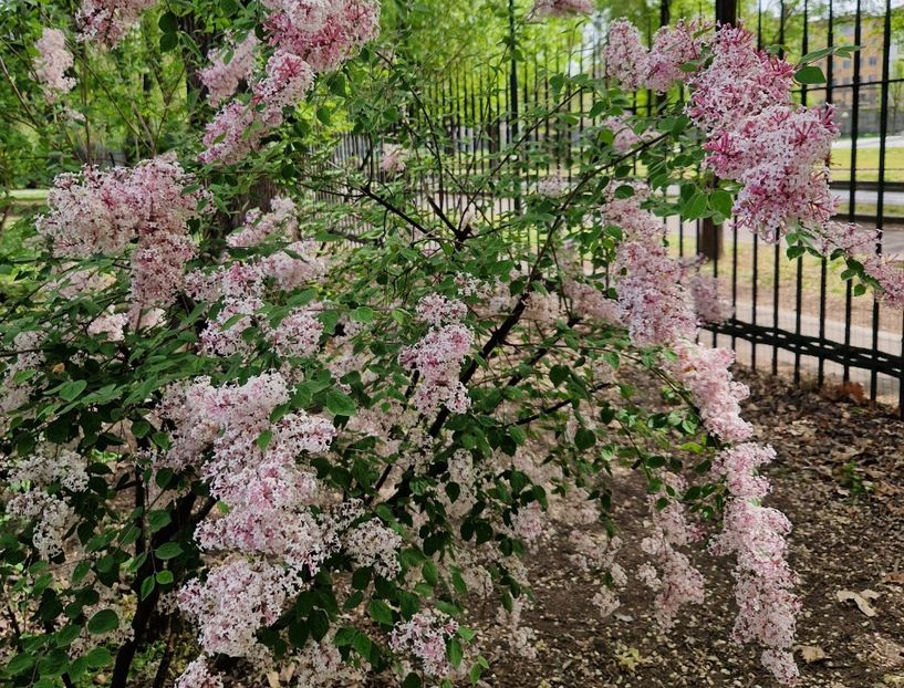  - 2023 Milano si Monza