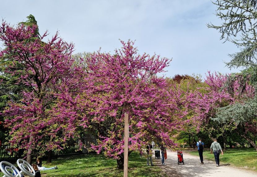  - 2023 Milano si Monza