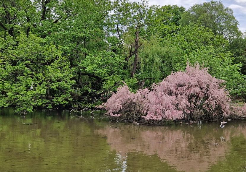  - 2023 Milano si Monza