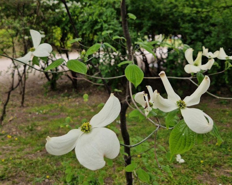  - 2023 Milano si Monza