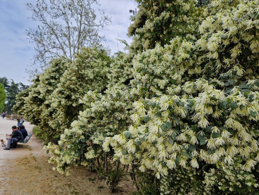  - 2023 Milano si Monza