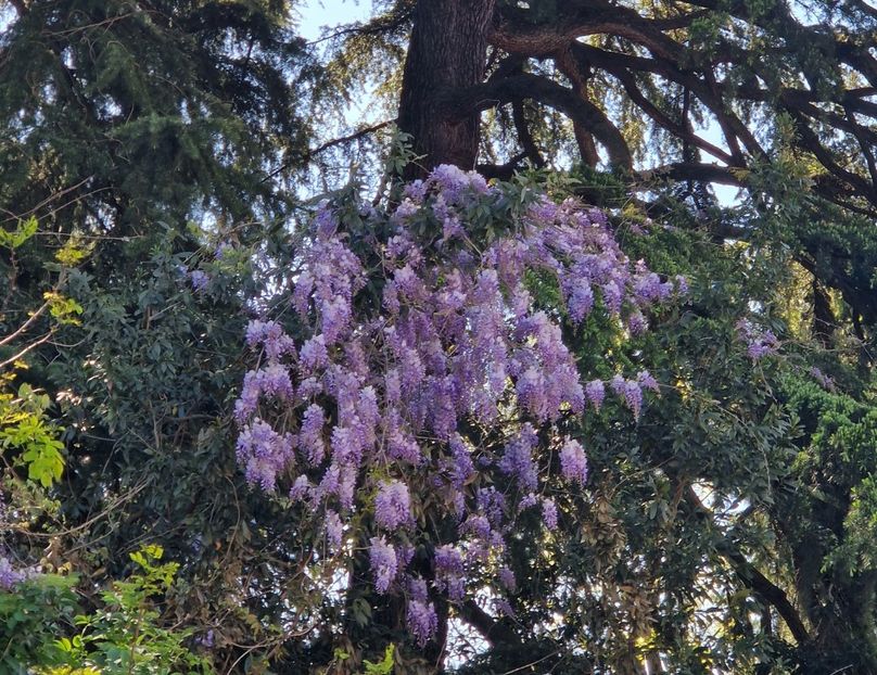  - 2023 Milano si Monza