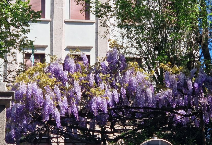  - 2023 Milano si Monza