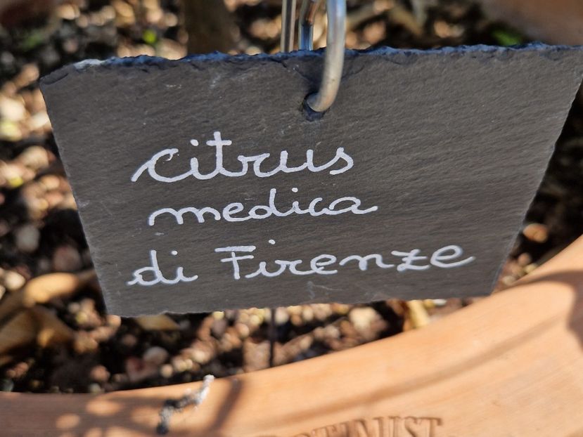  - 2023 Milano si Monza