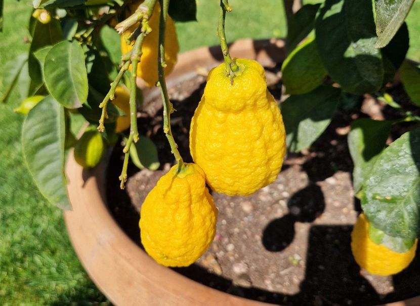  - 2023 Milano si Monza