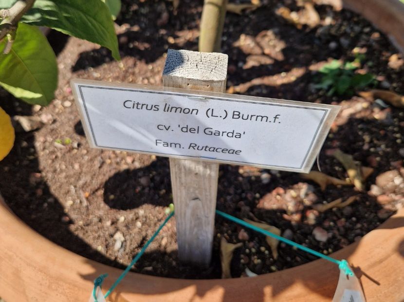  - 2023 Milano si Monza