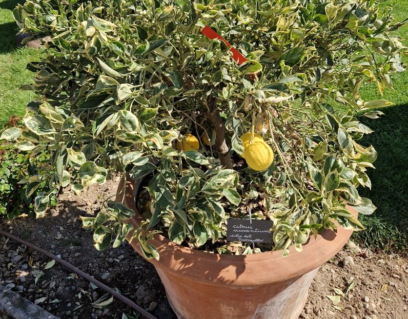  - 2023 Milano si Monza