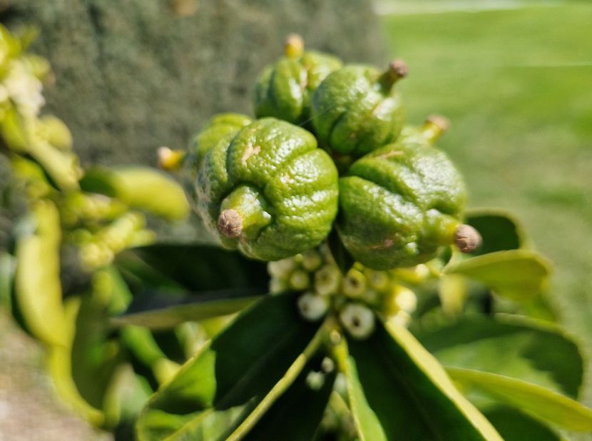  - 2023 Milano si Monza