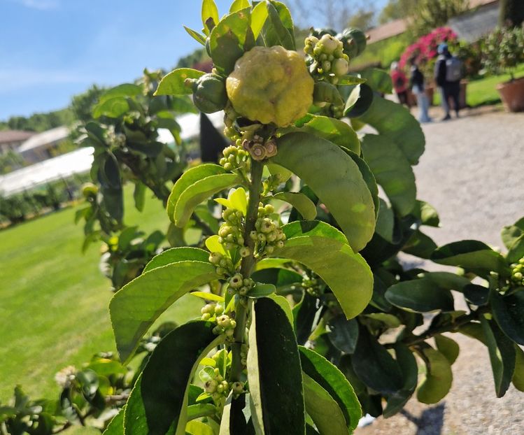  - 2023 Milano si Monza