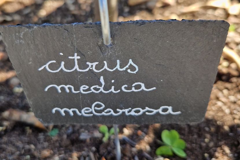  - 2023 Milano si Monza