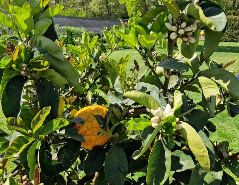  - 2023 Milano si Monza