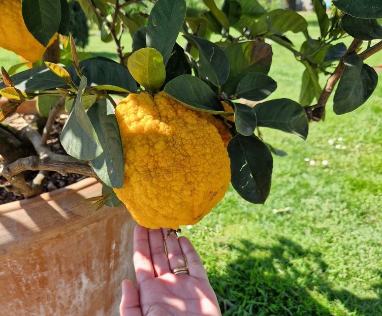  - 2023 Milano si Monza