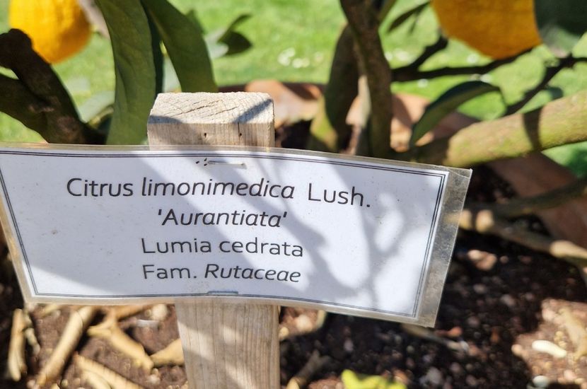  - 2023 Milano si Monza