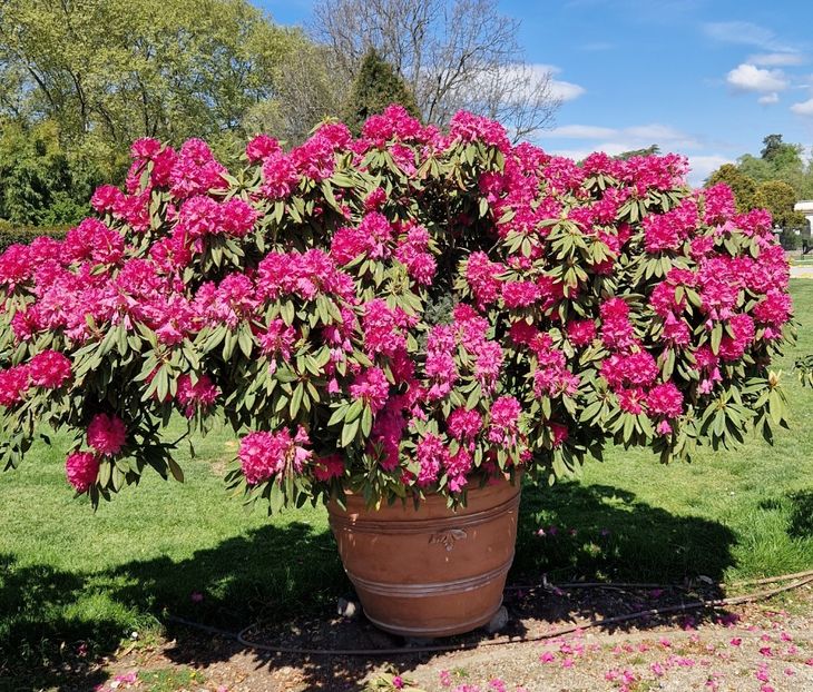  - 2023 Milano si Monza