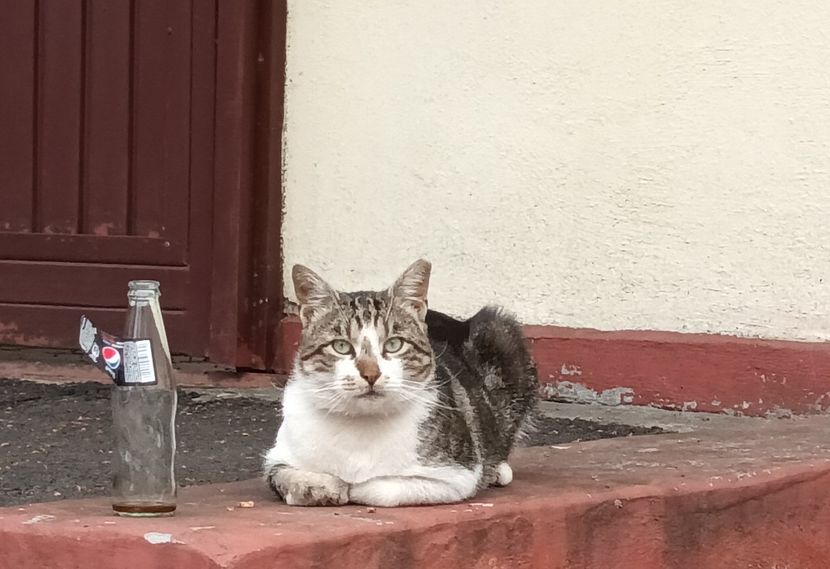 Sete mare prin oras... ;) - Căutând bucuria la pas