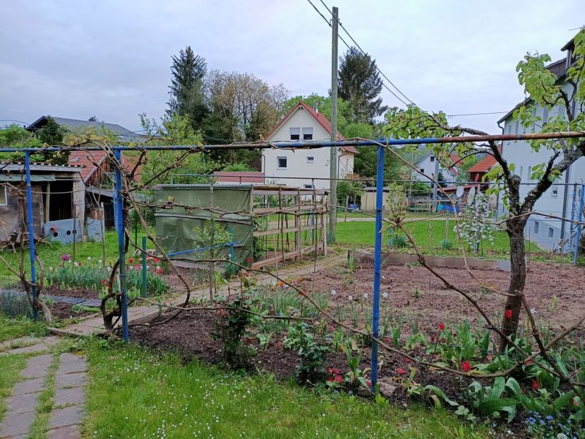 Img.2023.04.29 - A doua grădină