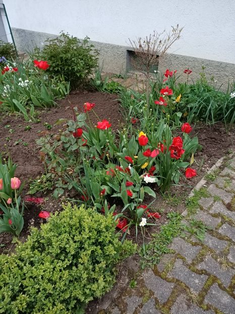 Img.2023.04.29 - A doua grădină