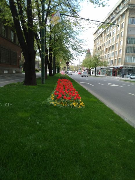  - 2023_mai