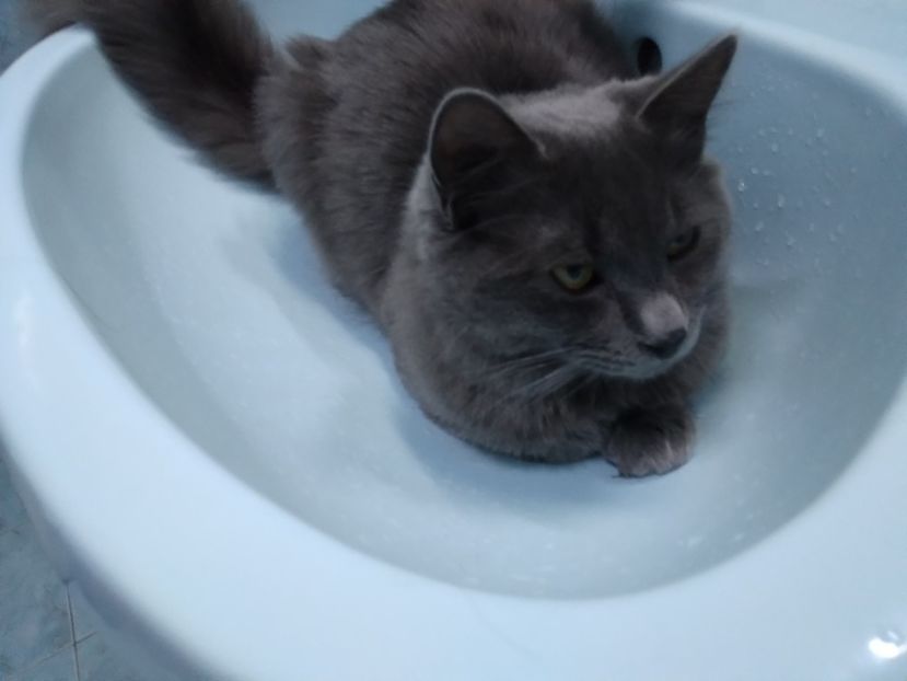  - Blue