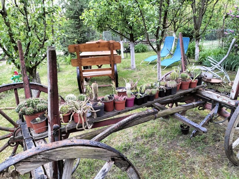 IMG20230512193203 - Primăvara 2023