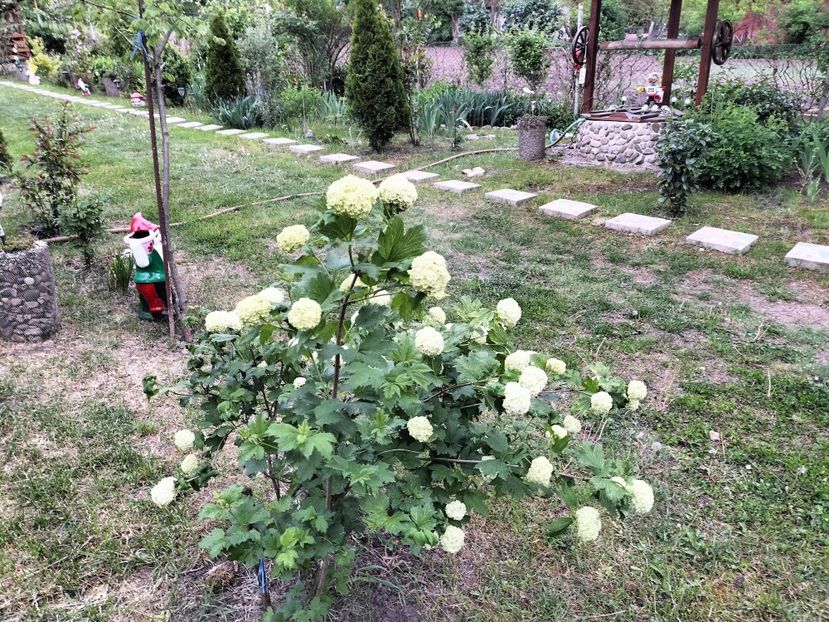 IMG20230512192340 - Primăvara 2023