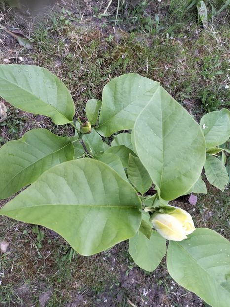 IMG20230512192009 - Primăvara 2023