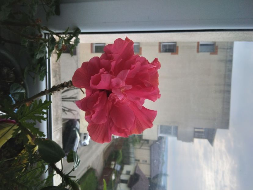  - Relaxarea sufletului