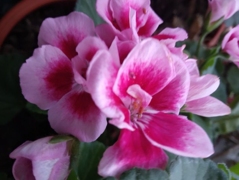  - Relaxarea sufletului