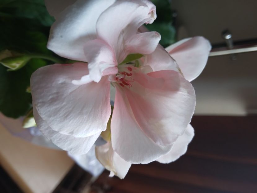  - Relaxarea sufletului