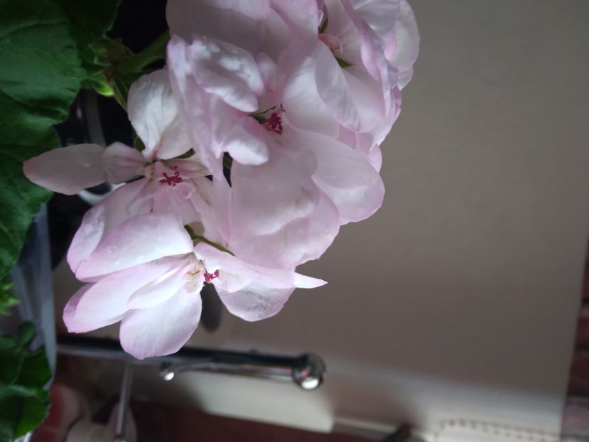  - Relaxarea sufletului