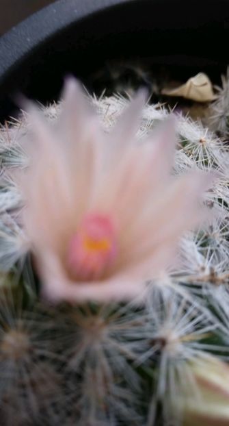 b5bf0655a9ea9880d4c8b0875a3f27bd - Relaxarea sufletului